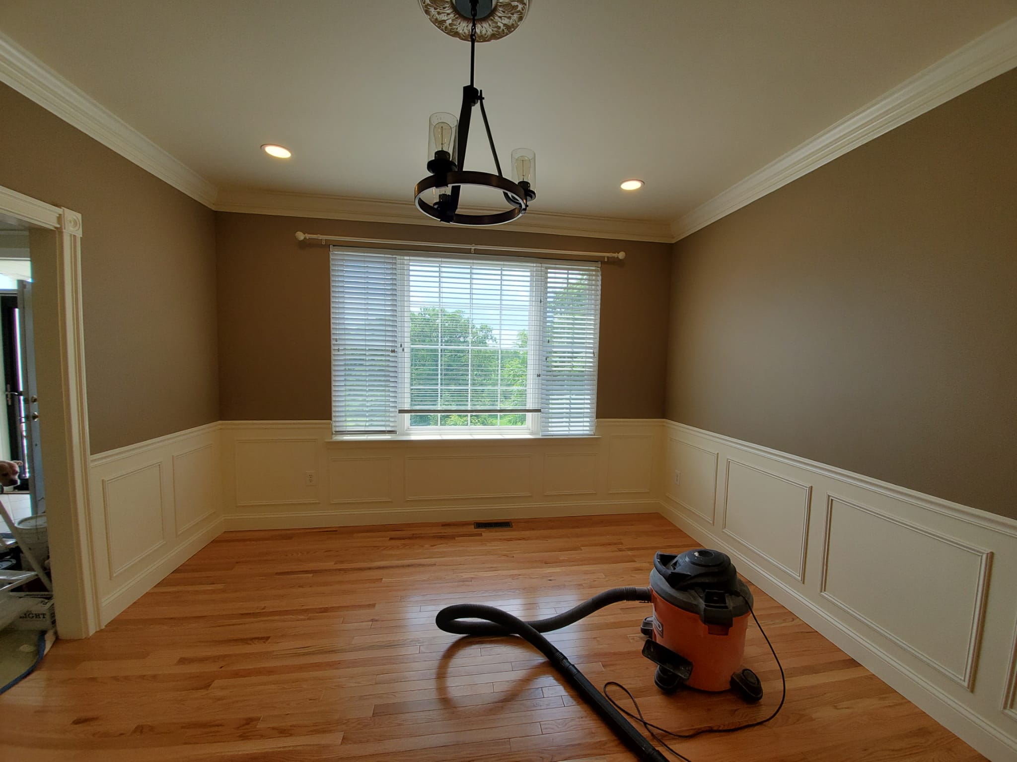 Proyecto de remodelación 216